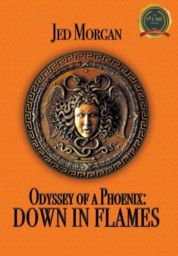Odyssey of a Phoenix Down in Flames