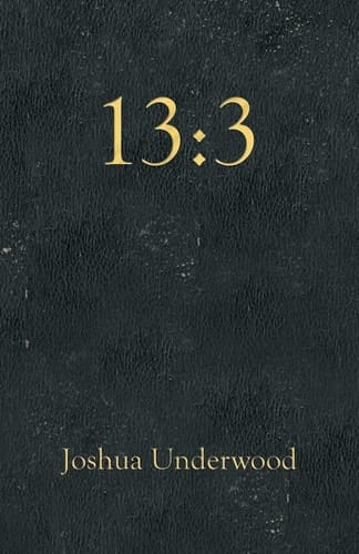 1 3
