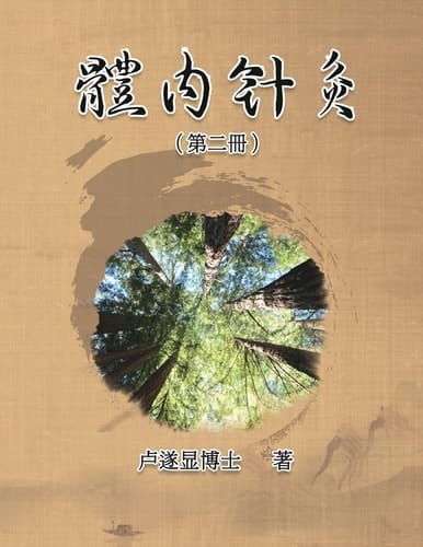  Internal Acupuncture (Volume 2)
