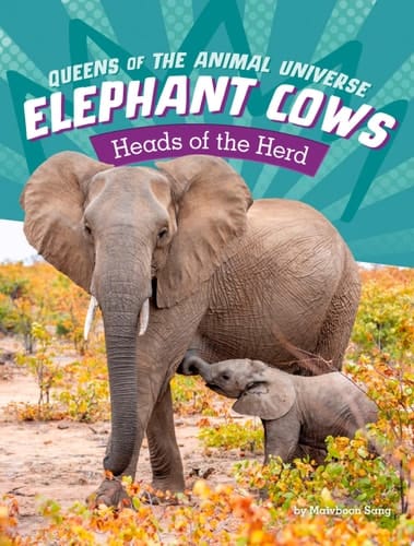 Elephant Cows Rulers of the Herd