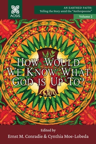 How Would We Know what God is Up To?