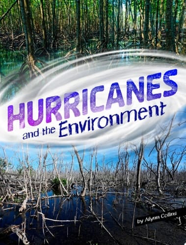 Hurricanes and the Environment