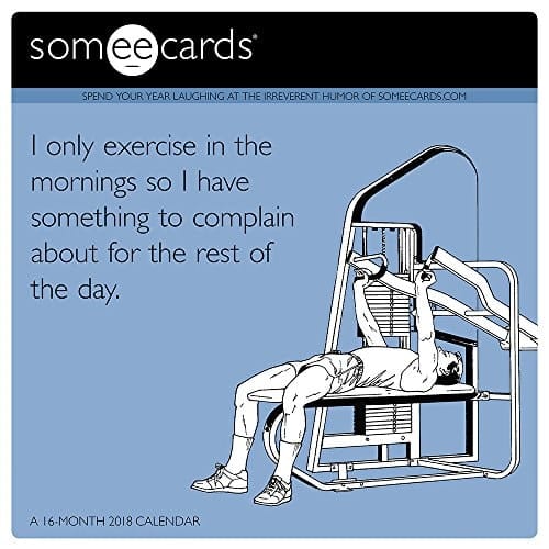 2018 Someecards Wall Calendar (Mead)