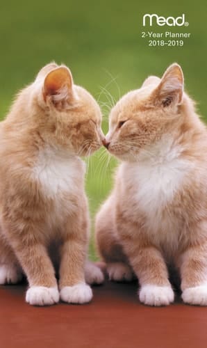 Kittens 2018 Pocket Planner