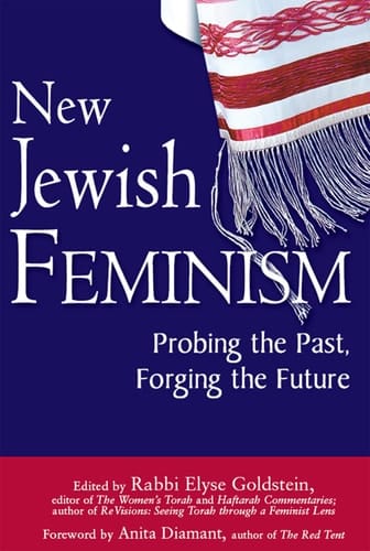 New Jewish Feminism Probing the Past, Forging the Future