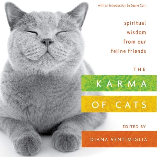 The Karma of Cats Spiritual Wisdom from Our Feline Friends
