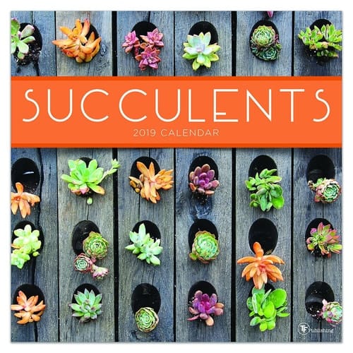 Suculentas 2019 calendario - 2019 Succulents Wall Calendar