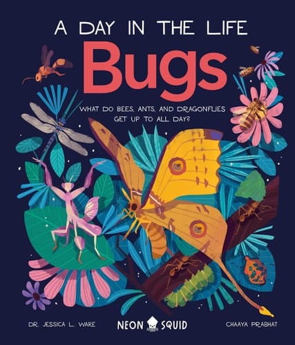 Bugs (A Day in the Life) What Do Bees, Ants, and Dragonflies Get Up to All Day?