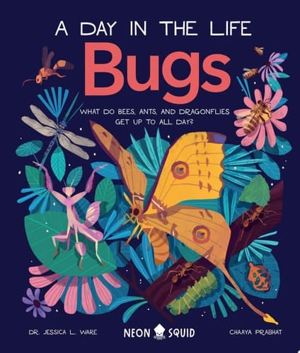 Bugs (A Day in the Life) What Do Bees, Ants, and Dragonflies Get up to All Day?