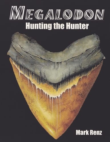 Megalodon Hunting the Hunter