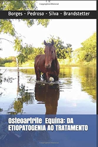 Osteoartrite Equina: Da Etiopatogenia Ao Tratamento