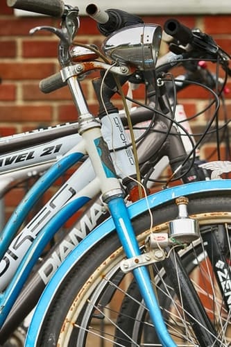 Biking Beauty