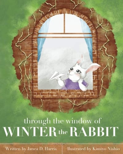 Through the Window of WINTER the RABBIT