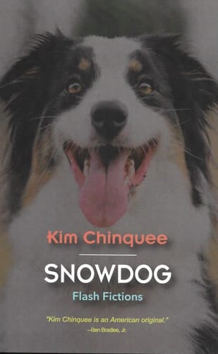 Snowdog Flash Fictions