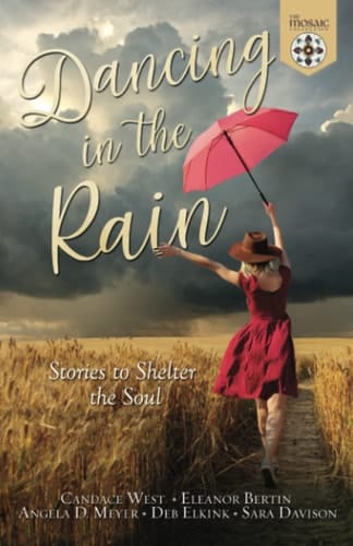 Dancing in the Rain Stories to Shelter the Soul