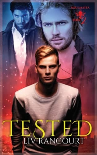 Tested Soulmates Book 2