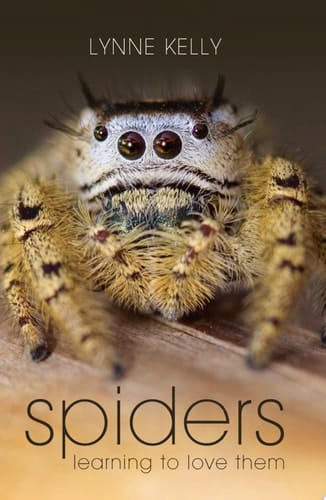Spiders