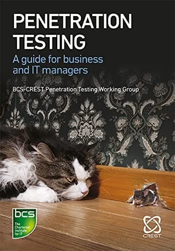 Penetration Testing: A guide for business and IT managers