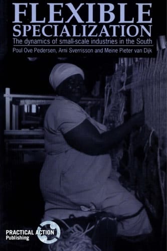 Flexible Specialization The dynamics of small-scale industries in the South