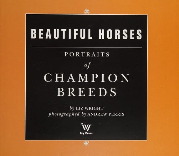 Beautiful Horses Portraits of Champion Breeds Preened to Perfection