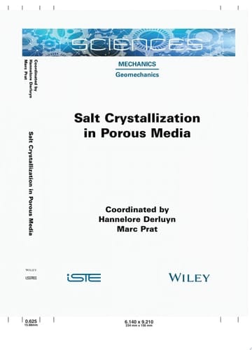 Salt Crystallization in Porous Media