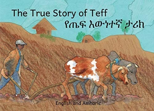 The True Story of Teff In English and Amharic