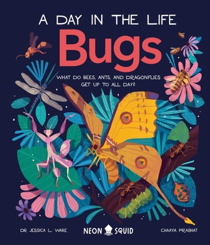 Bugs (a Day in the Life) What Do Bees, Ants, and Dragonflies Get Up to All Day?