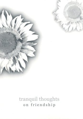 On Friendship Journal