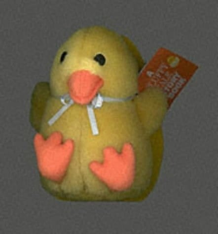Fluffy Chick