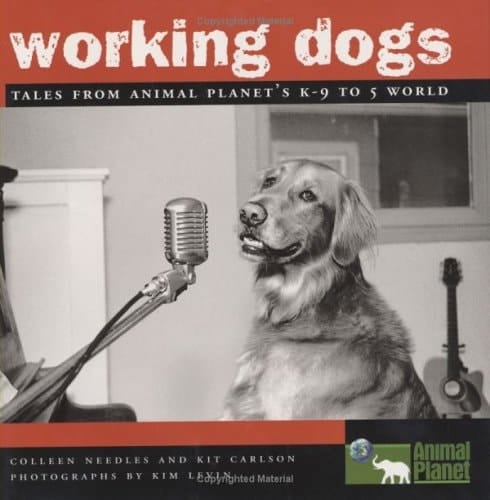 Working Dogs Tales from Animal Planet's K-9 to 5 World
