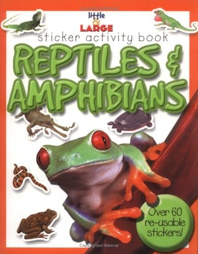 Reptiles and Amphibians (Little & Large)