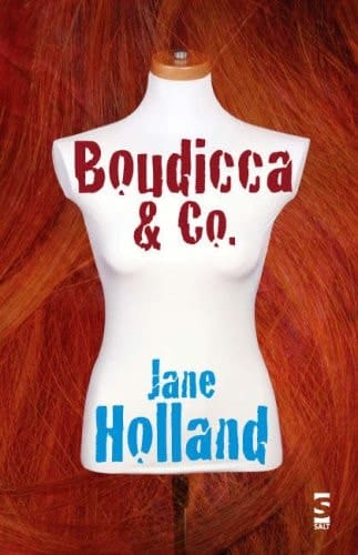 Boudicca & Co. (Salt Modern Poets Series)