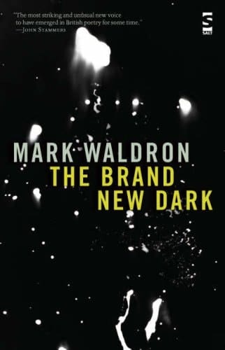 The Brand New Dark (Salt Modern Poets)