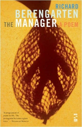 The Manager (Salt Modern Poets) (v. 2)