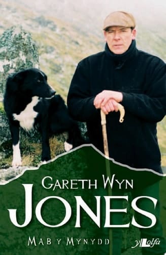 Mab y Mynydd
