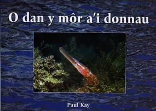 O dan y môr a'i donnau