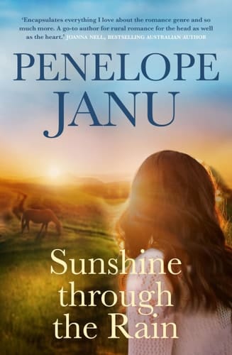 Sunshine Through the Rain
