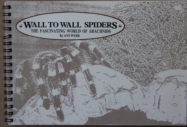 Wall to Wall Spiders