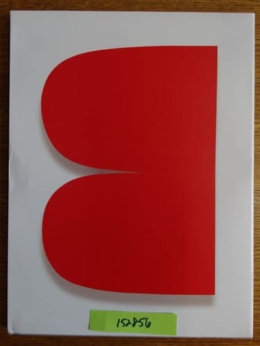 Ellsworth Kelly Outside in