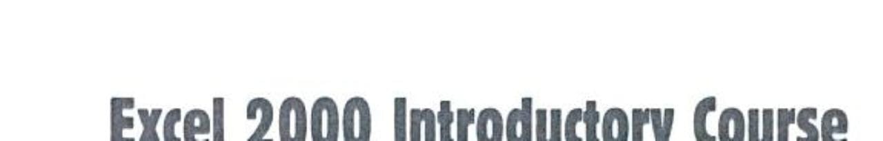 Excel 2000 Introductory Course