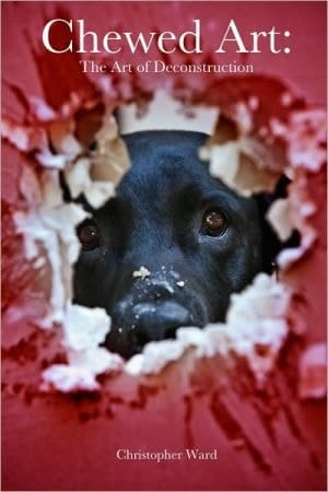 Chewed Art: The Art Of Deconstruction