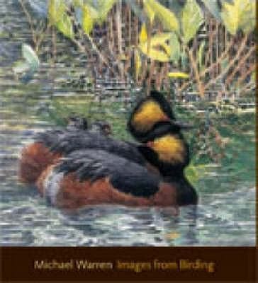 Images From Birding Observations Of An Artist Birder