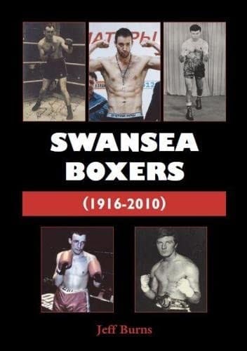 Swansea Boxers : (1916-2010)