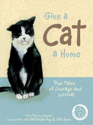 Give A Cat A Home True Tales Of Courage And Survival