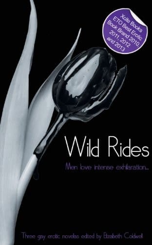 Wild Rides Three Gay Novellas