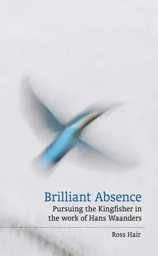 Brilliant Absence Pursuing the Kingfisher in the Work of Hans Waanders