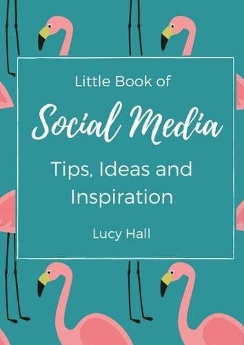 Little Book of Social Media Ideas and Inspiration: Ideas, inspirations and nudges for your next social media post