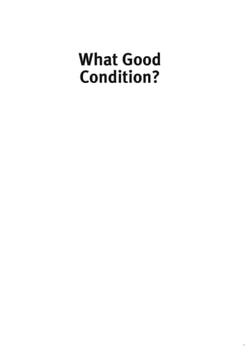 What Good Condition? Reflections on an Australian Aboriginal Treaty 1986-2006