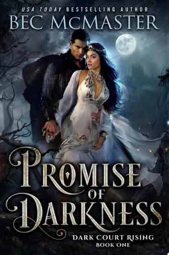 Promise of Darkness A steamy fairy tale Fae Fantasy Romance