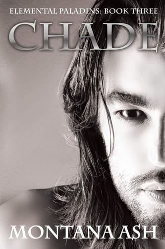 Chade Elemental Paladins: Book Three